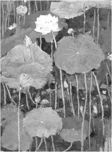 小说节选:菱荡圩