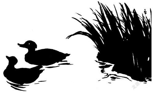 生活随笔:爹娘的那片菜园子