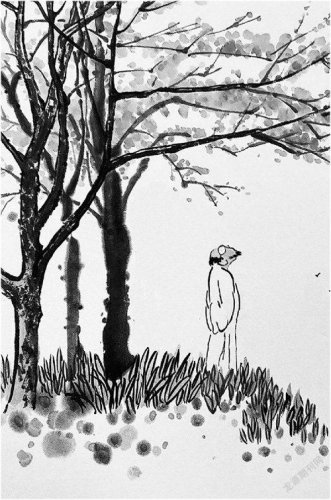 生活随笔：人生如寄，人如浮萍