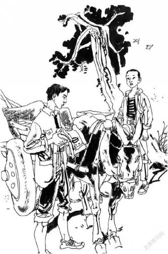 生活随笔：拉煤的路上