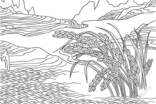 文化散文:选择记忆