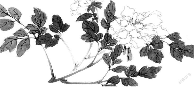 生活随笔:母亲的青春年华