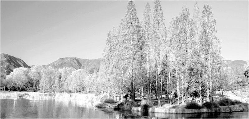 生活随笔:奥林匹克森林公园