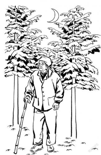 生活随笔:家的故事