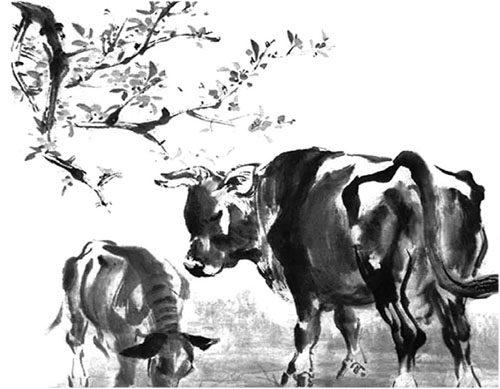 生活随笔:扶贫先扶志