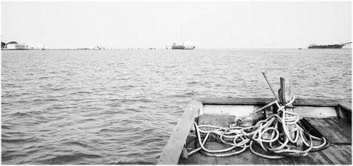 精选散文:到龙港说龙港