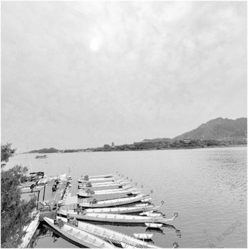 精选散文:东海之滨