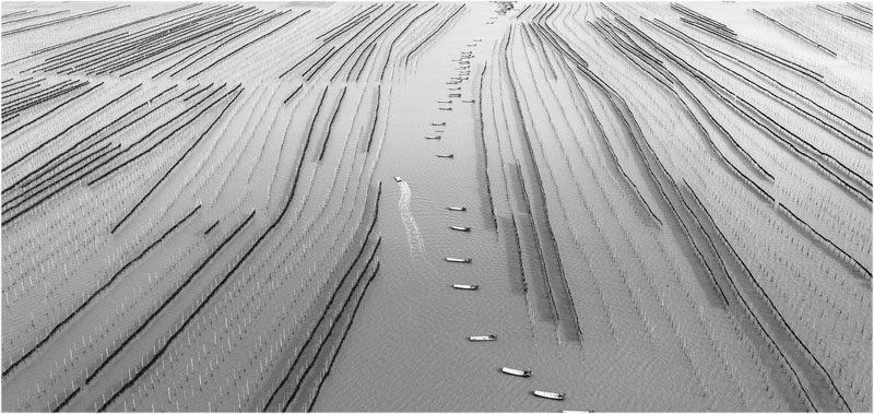 精选散文:龙港的奋斗史