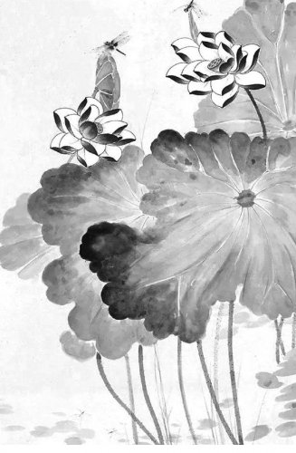 游记笔会:荒山守树人与白茶老树的故事