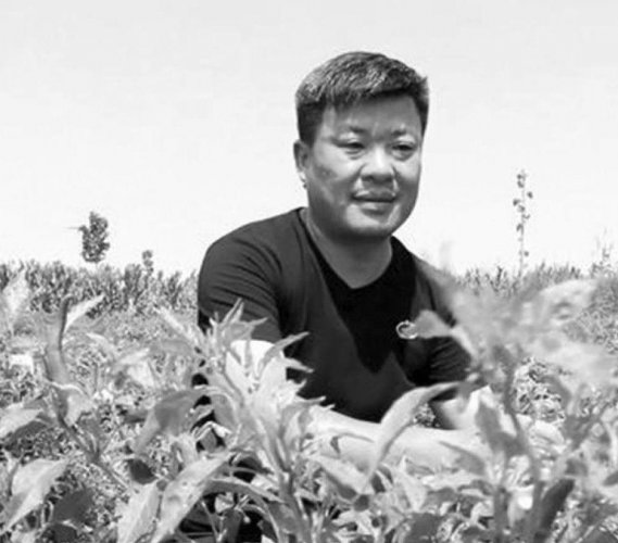 生活随笔：内心的感受