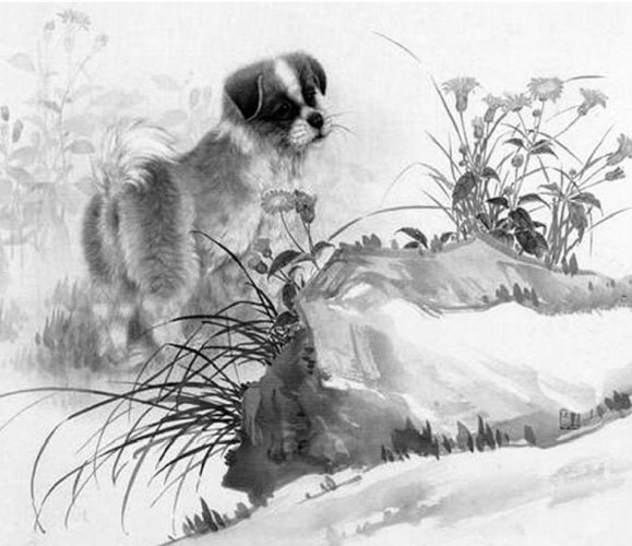 小说节选：丁克一族