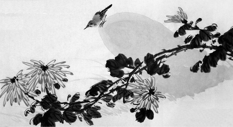 生活随笔：沿着时光溯流寻找答案