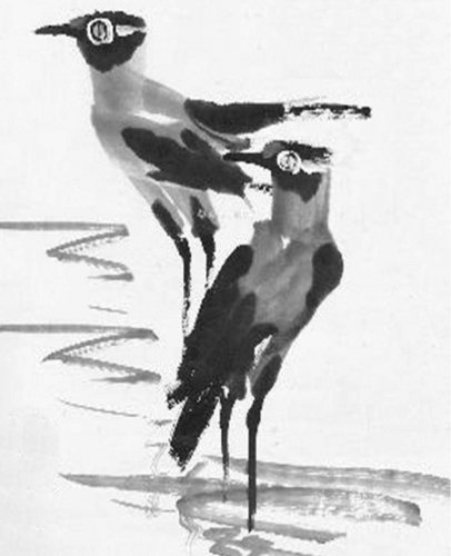 生活随笔：胆小的鹬