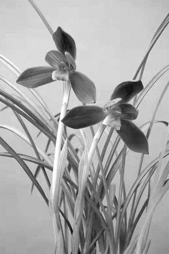 生活随笔：朝拜鲁迅