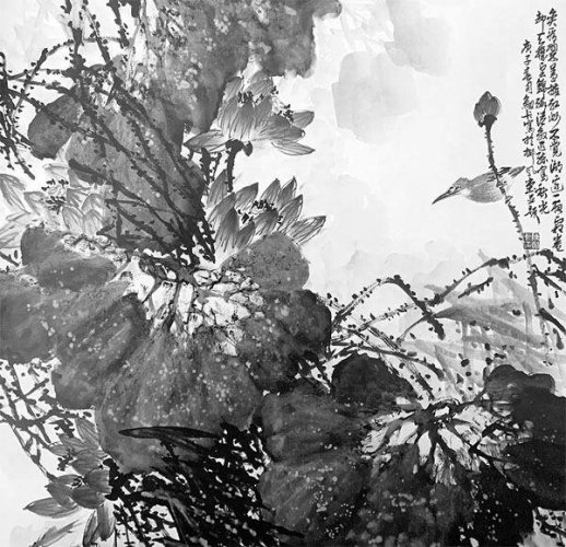 生活随笔：西双湖看荷花