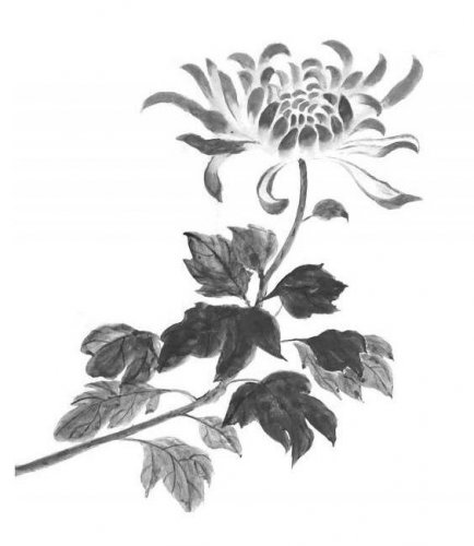 小说节选:小薇的法力