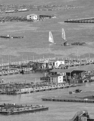 生活随笔:蛟龙出港