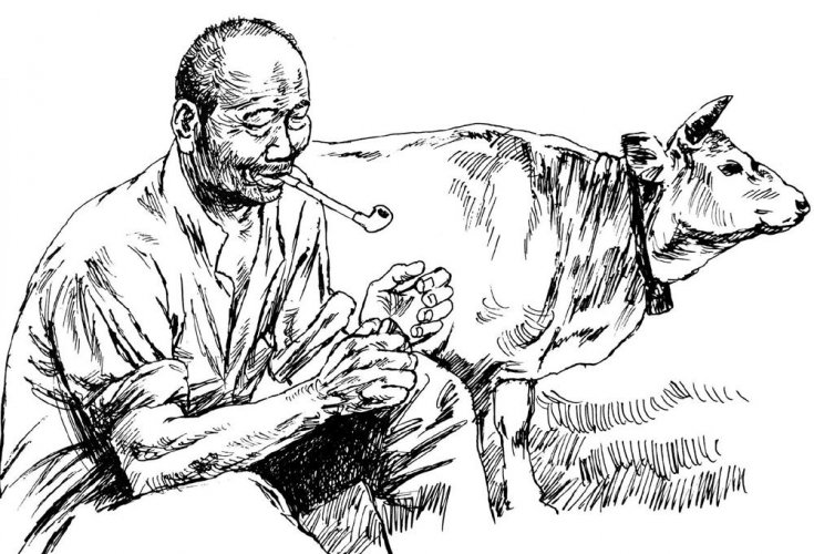 精选散文:一张颜面如生的脸