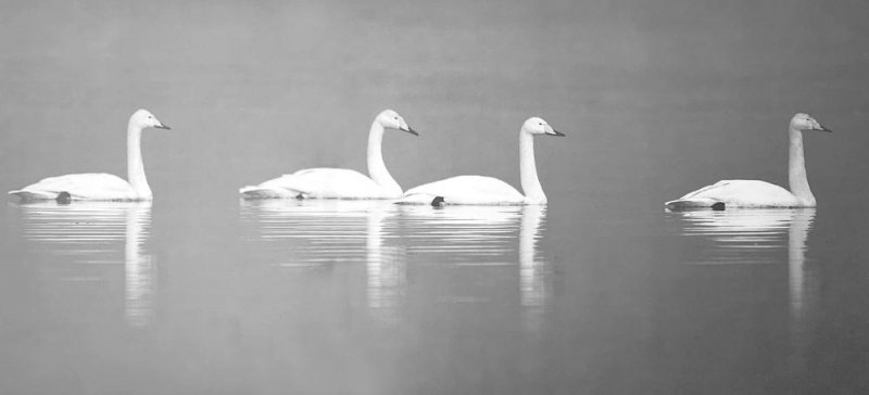 生活随笔:我的记忆