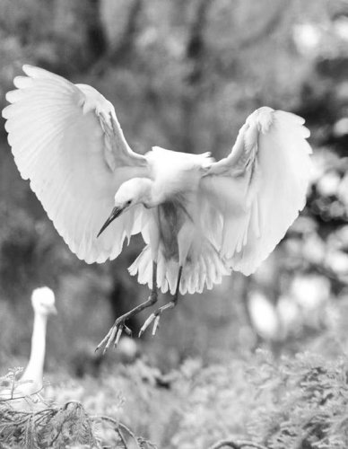 生活随笔:漂亮的新衣