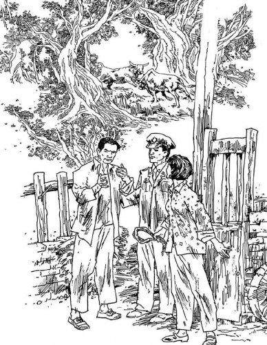 乡村夜话:耕牛雪夜失踪,神算占卜另有隐情