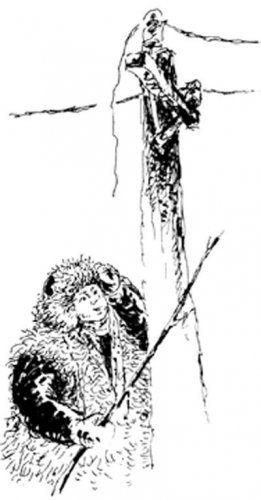 拍案惊奇：寻匪记