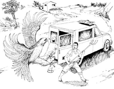 惊险故事：金雕复仇记