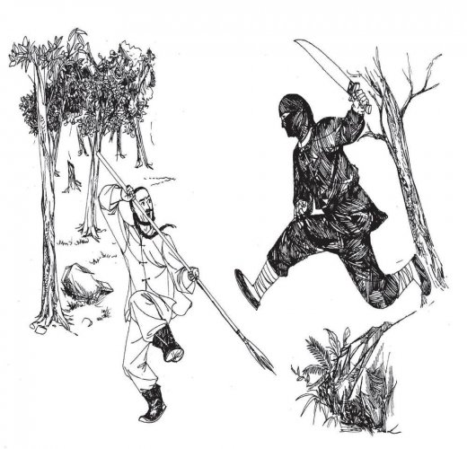 江湖传说:覆灭南少林