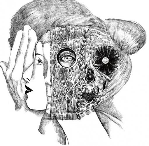 惊险故事：女房客