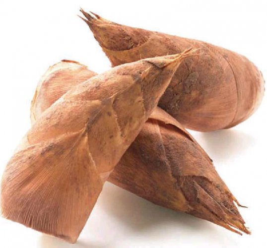 冬笋的烹饪方法,冬笋怎么样做才好吃