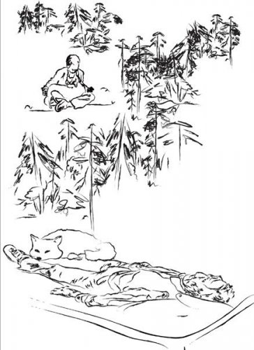 古今异事:红狐狸