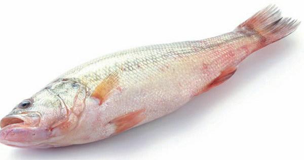 海鲜旺季,热爱海鲜的朋友们可以尽情享用