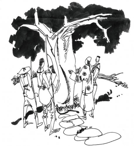 惊奇故事：打蝉