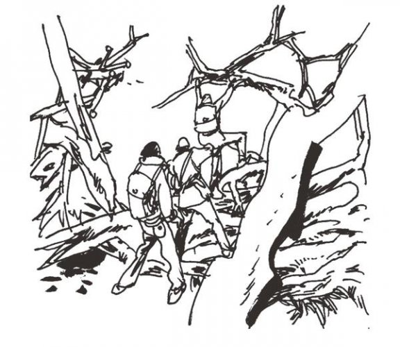 故事会：赤狼之谜