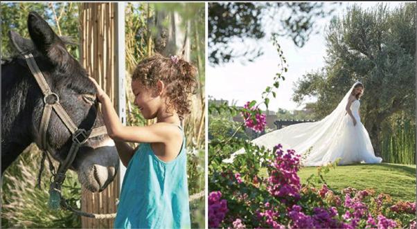 马拉喀什 缤纷与游离