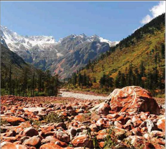 向往的生活 风在此止步 心不曾离开