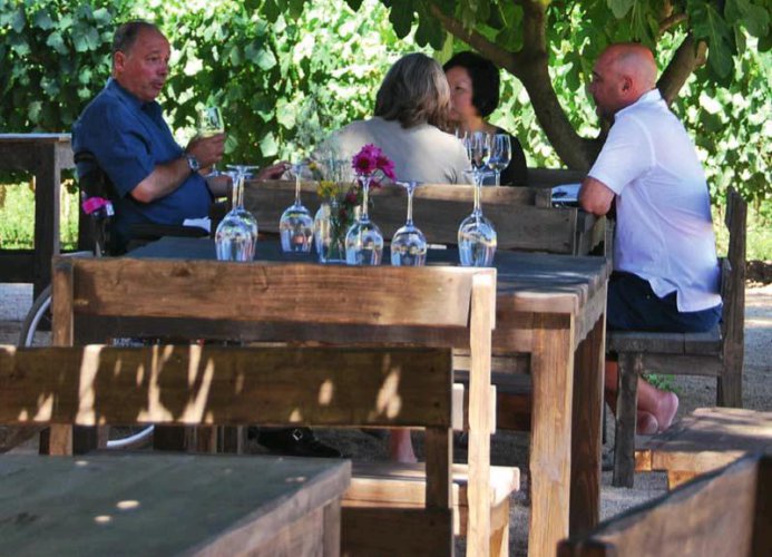 智利葡萄酒之旅