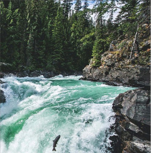 生命的四季变奏