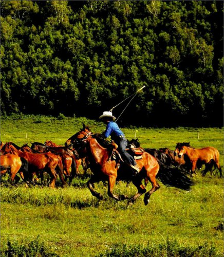 皇府后花园的律动