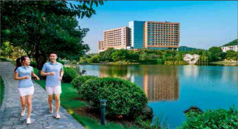 城市绿洲里的慢时光