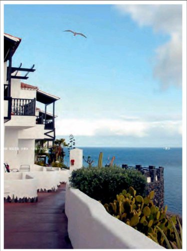 指尖时光 花开想念模样