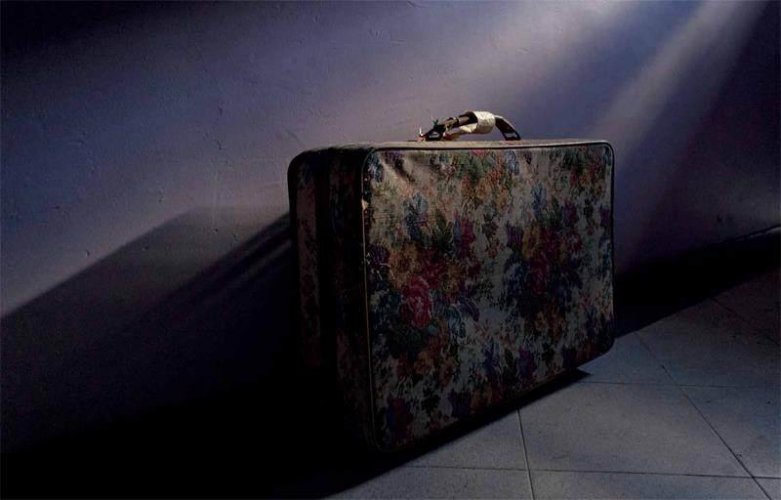 关于一粒种子的寻根之旅