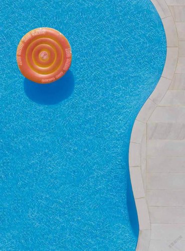 布莱德·沃尔斯：从天空看泳池