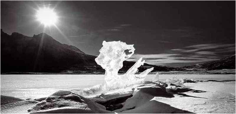 心灵与自然的交汇