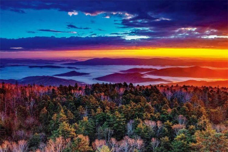 诗意自然的歌者