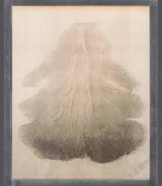 打开物性的超视觉影像探索