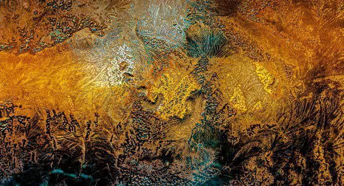 观《冰花碎语》感言