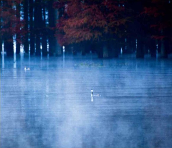 天光云影红杉湖