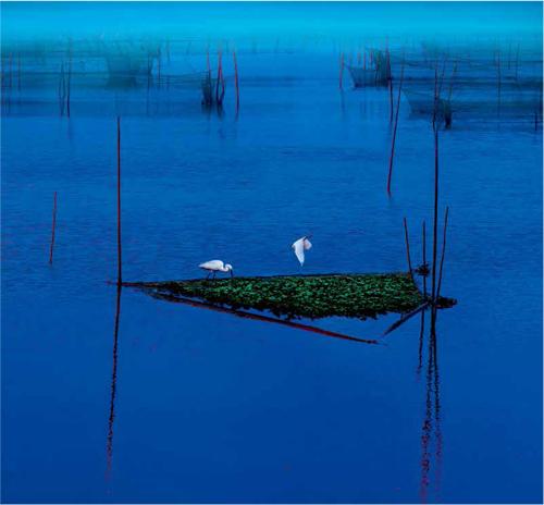 提升影像的审美境界