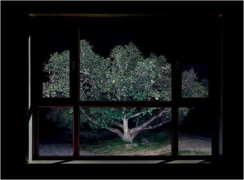 第三届海峡两岸大学生摄影大赛获奖作品展